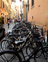 Florence Transportation