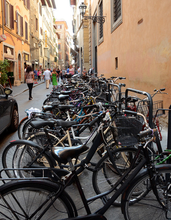 Florence Transportation